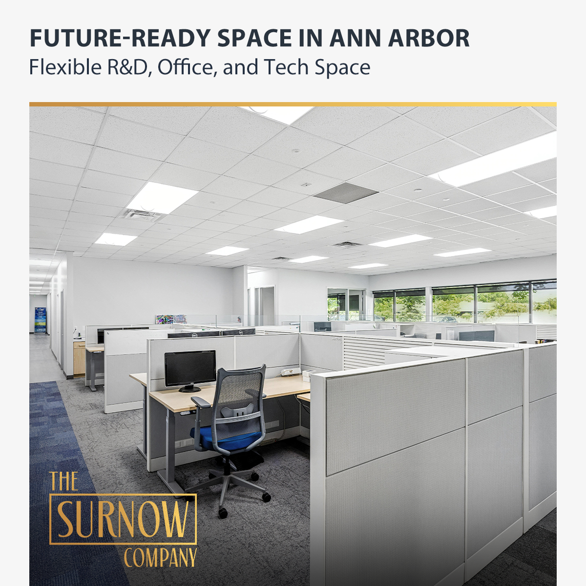 Newly added carousel image