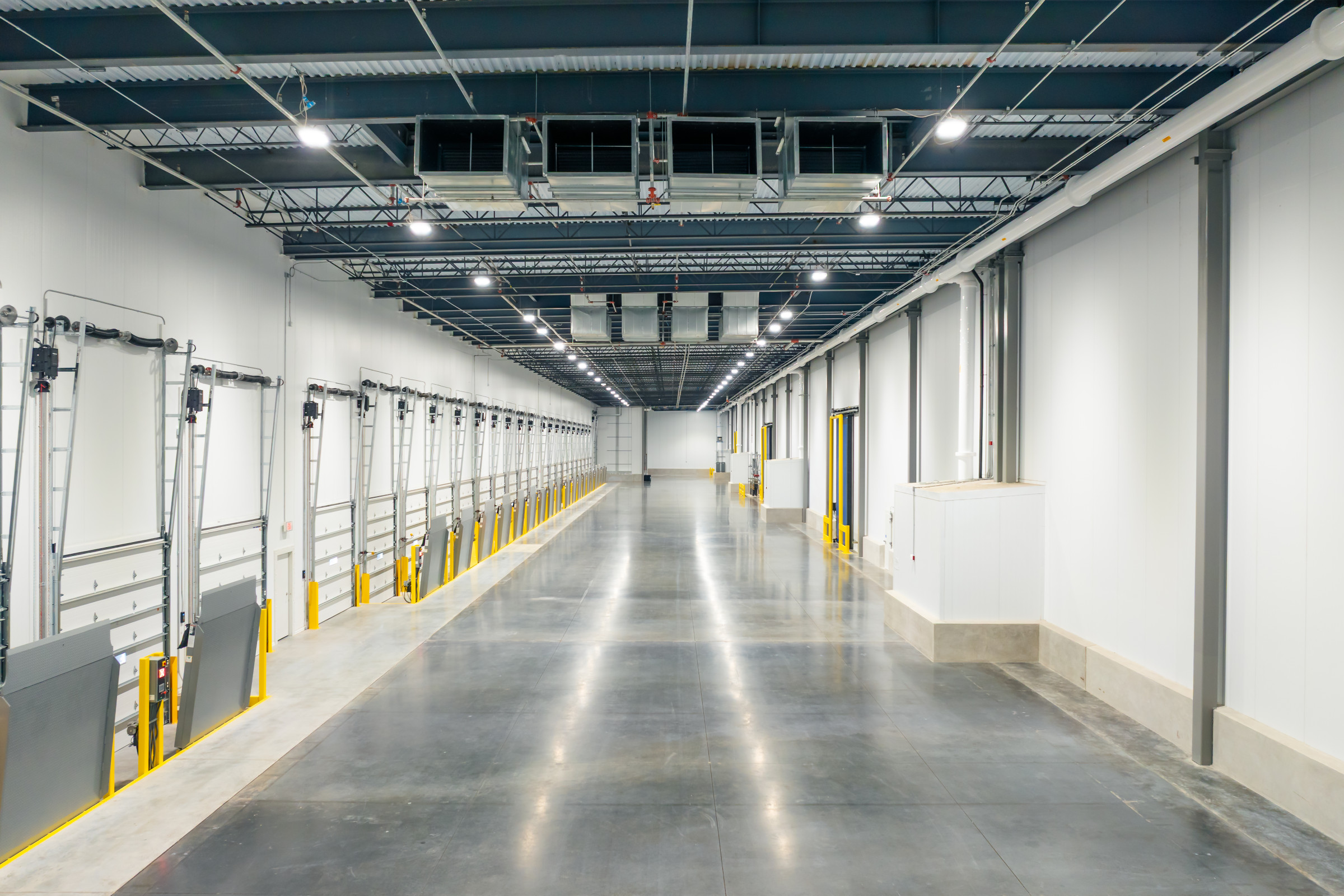 About Jacksonville Cold