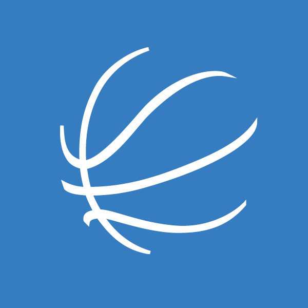 Basketball Icon