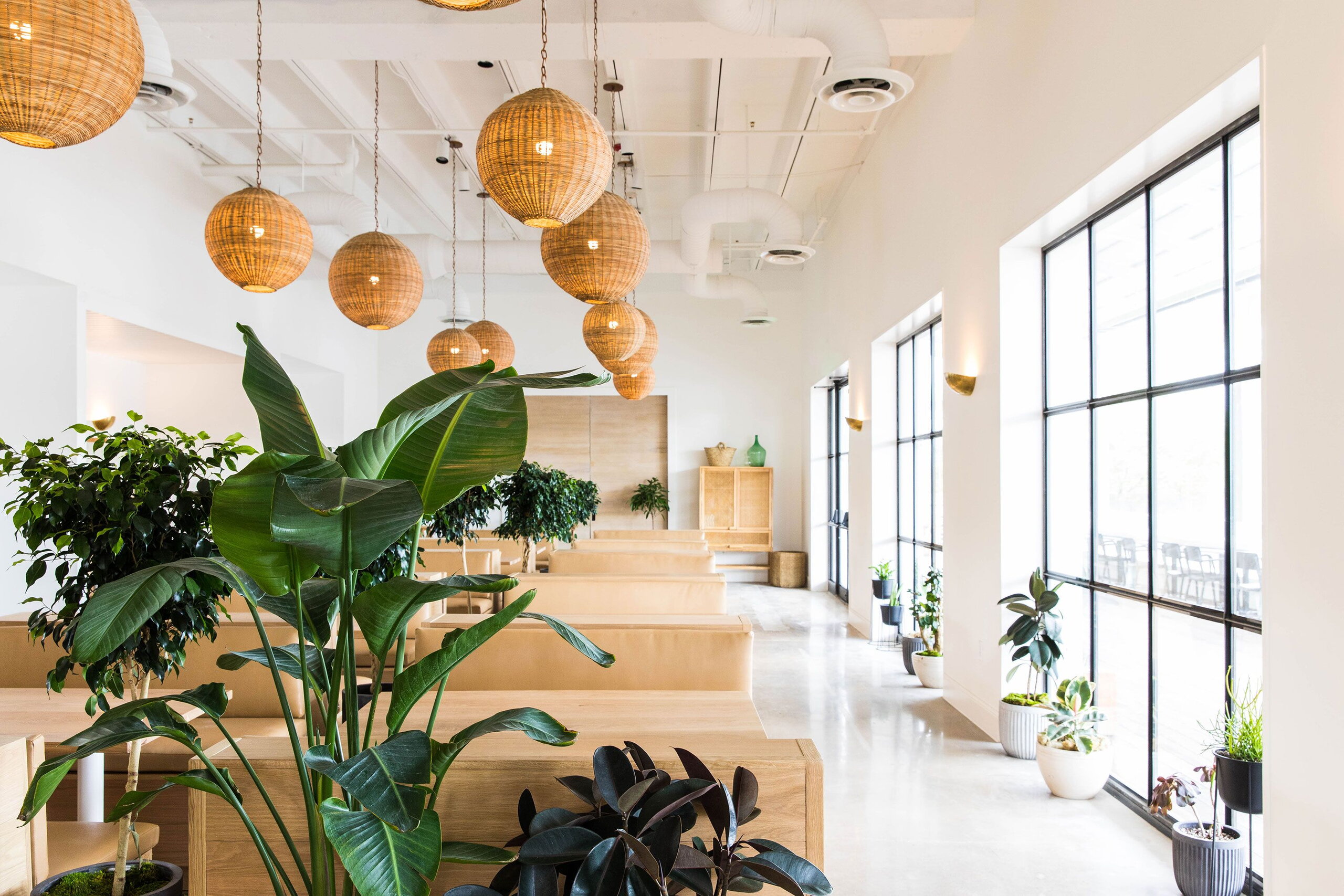 Bright plant-filled tenant lounge