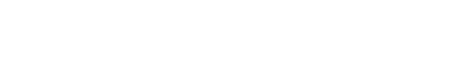 Northpark White Logo