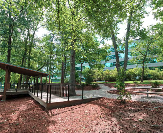 Central Park Office Building Exterior